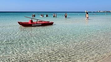 Lettini da mare
