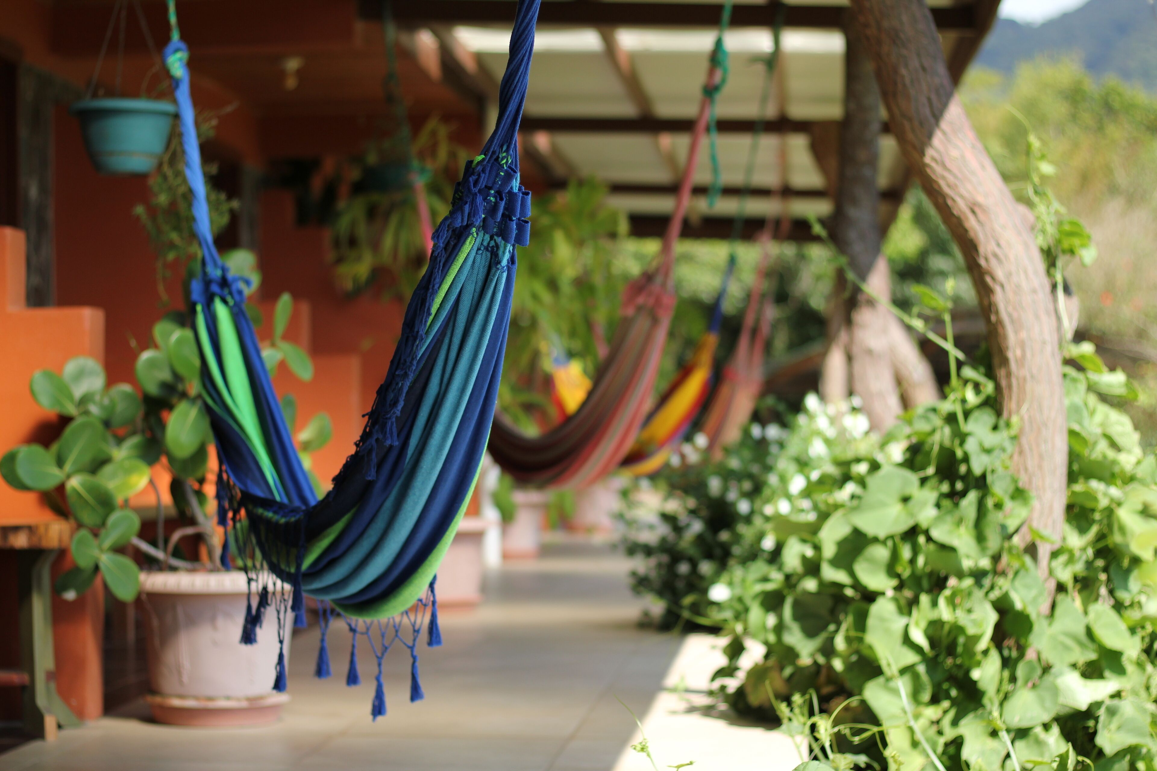 Overnatningsstedets område