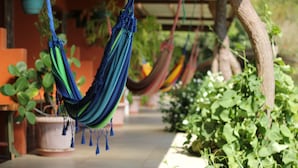 Uma rede estendida entre duas árvores em um jardim com plantas em vasos e piso de azulejos.