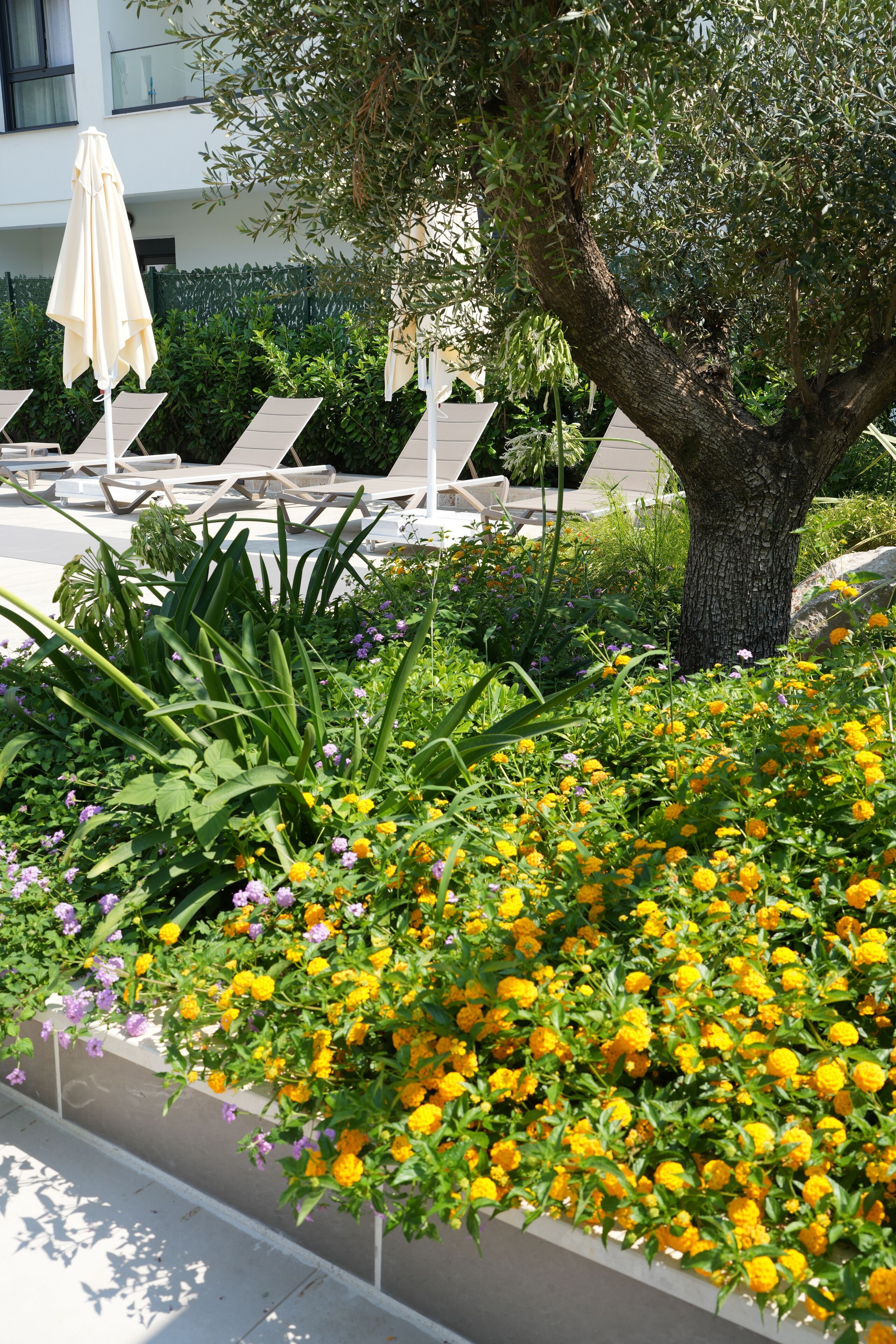 Un jardín con flores amarillas y púrpuras, un árbol y sillones de descanso.