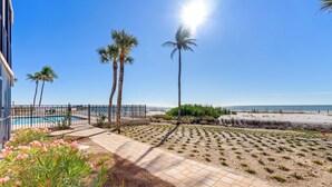 Un espace piscine agrémenté de palmiers, avec vue sur la plage et une allée dallée.