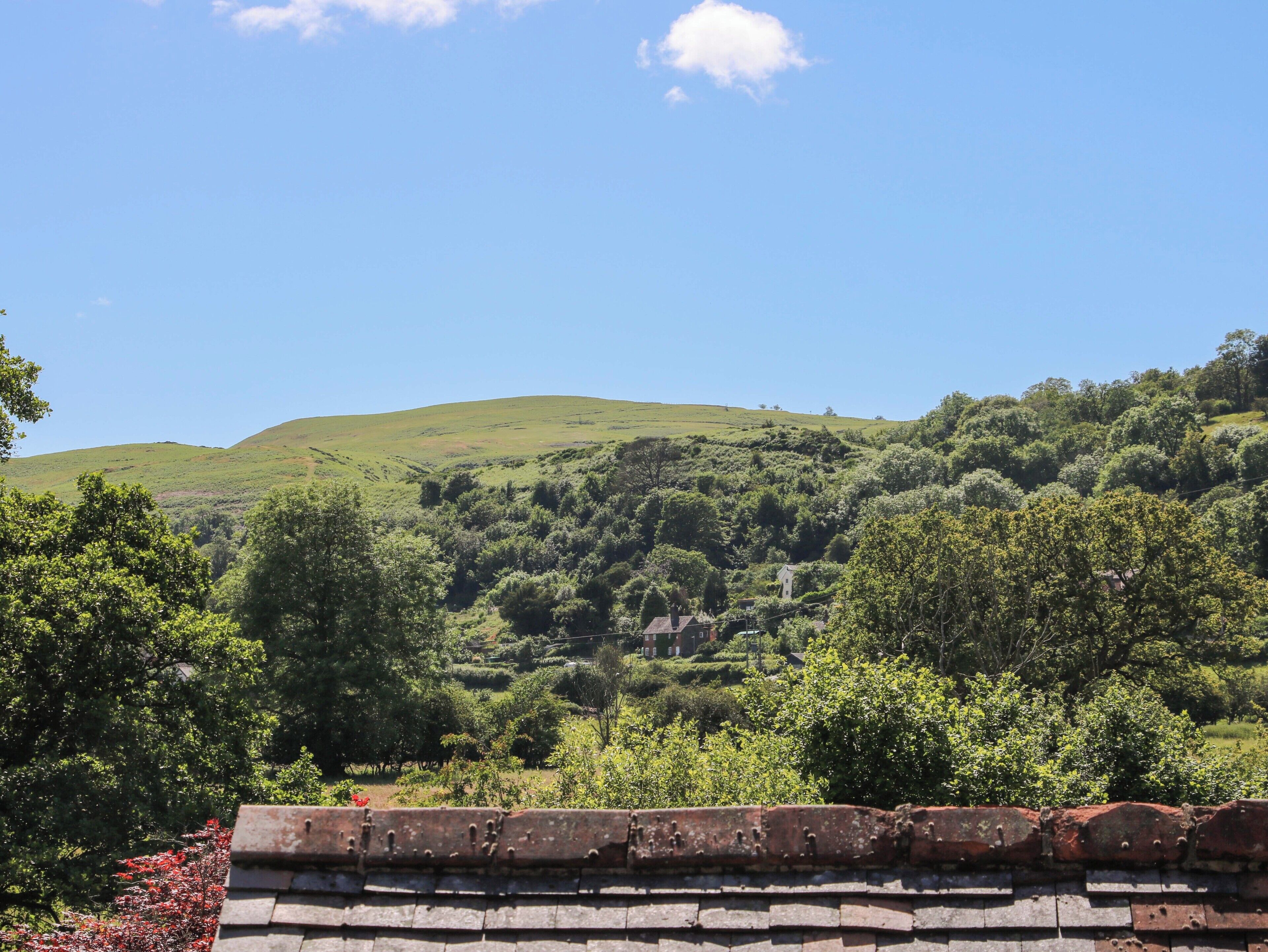 A rural landscape with rolling hills, dense greenery, and a traditional stone wall.