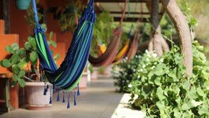 A hammock hanging between two trees in a garden area with potted plants and a tiled floor. - Finca Camino Nuevo#4 -Ecolodge, Sea & Forest Views (Monteverde)
