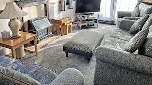 A living room with a fireplace, a television, a sofa, and a patterned rug. - Woodpecker Lodge - UK49149 (Singleton, near Poulton-Le-Fylde)