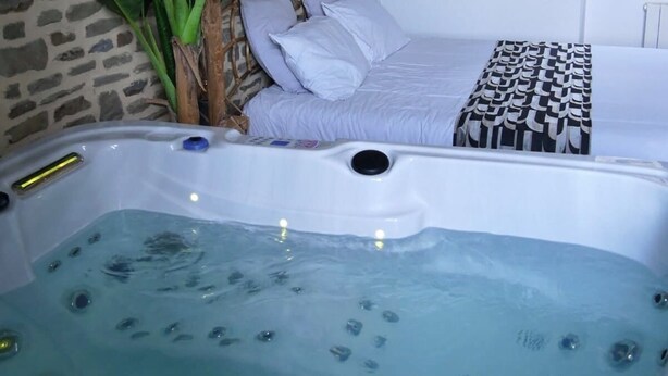 A room with a large hot tub, a bed with white bedding, a potted plant, and a wall clock.
