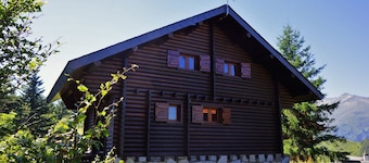 "LES RONDINS, Guzet snow chalet, direct start to slopes and hikes, panoramic view