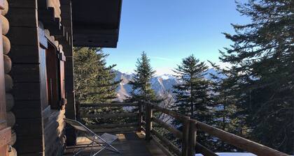 "LES RONDINS, Guzet snow chalet, direct start to slopes and hikes, panoramic view