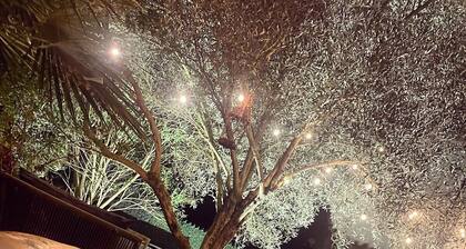 đĄ Maison avec Jacuzzi : Bulles et Soleil en DrĂŽme Provençale Ă Malataverne!đ