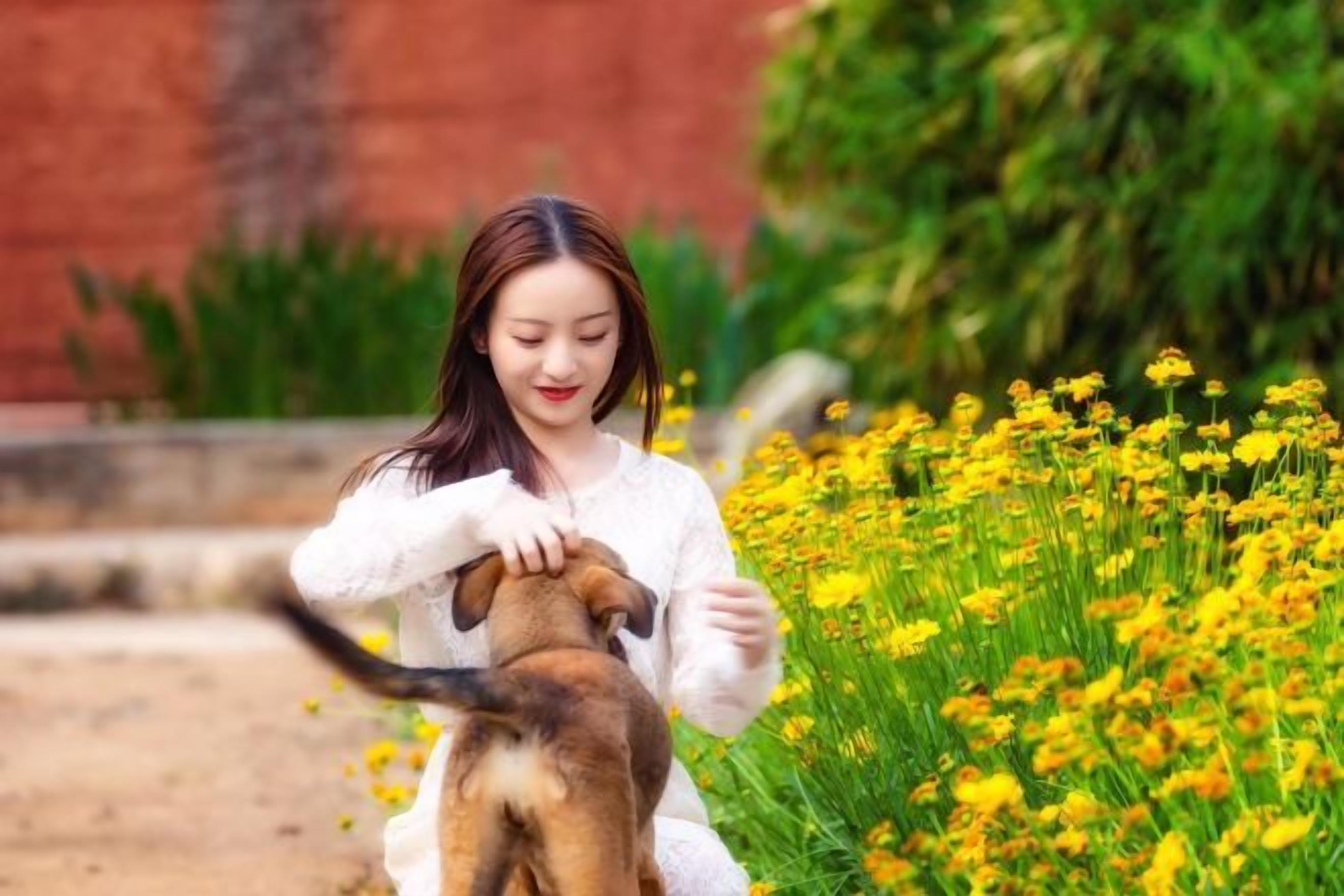 A person sitting outdoors with a dog, surrounded by yellow flowers.