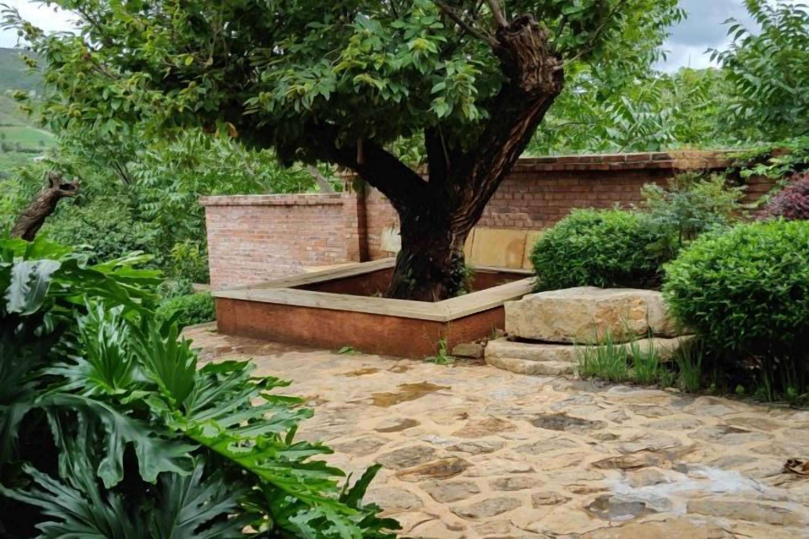 A garden with a tree, stone pathway, and brick wall.