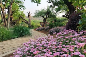 Un sendero de jardín con plantas y árboles en flor.