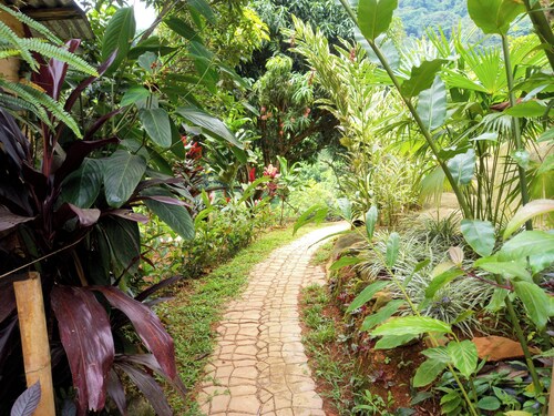 Oropendula tukamping cabin