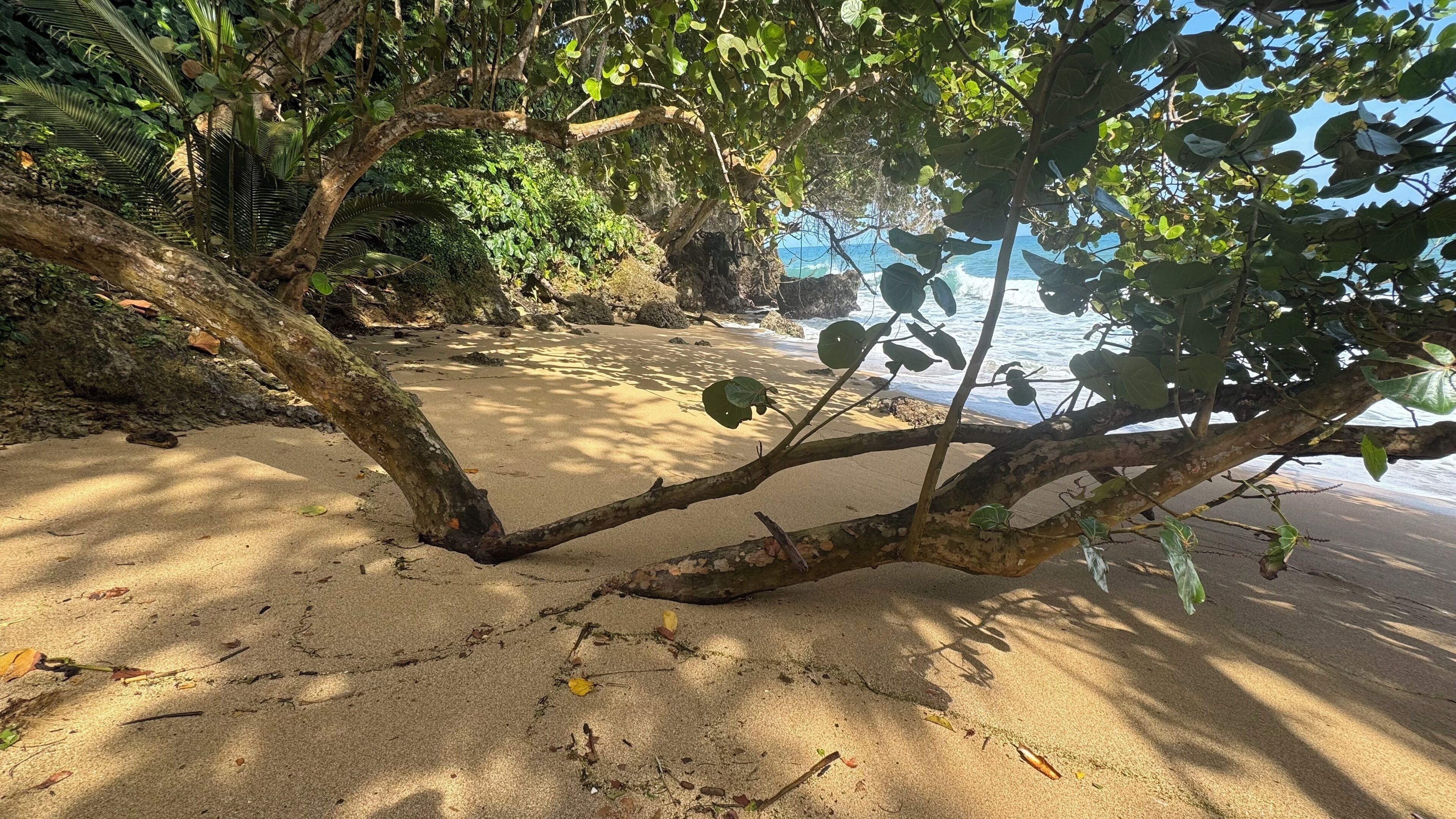 Am Strand, Liegestühle