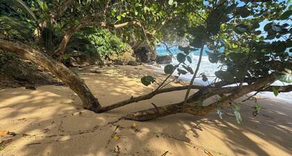 Ocean Front Luxury Villa with Pool and Private Beach