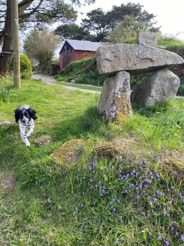 Hobbit hut with stunning valley views near Falmouth
