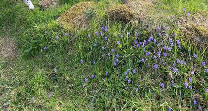 Hobbit hut with stunning valley views near Falmouth