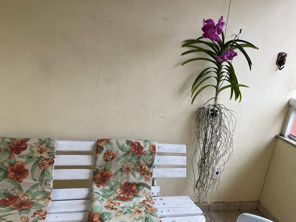 Een witte bank met bloemenbekleding, een hangplant met paarse bloemen en een wandlamp.
