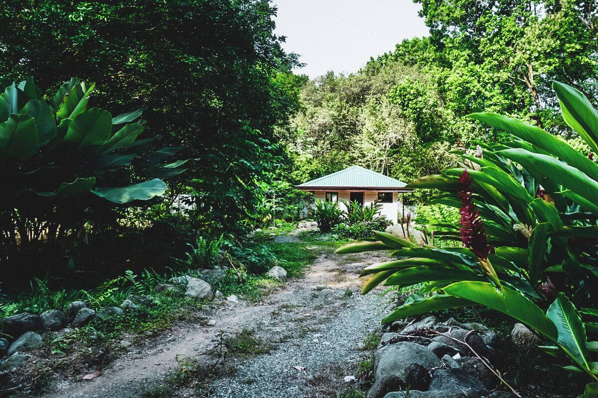 A rustic wooden gazebo surrounded by lush greenery and a gravel path leading to it.