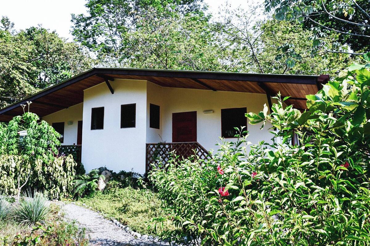 A single-story house with a white exterior and a brown roof, surrounded by lush greenery and trees.