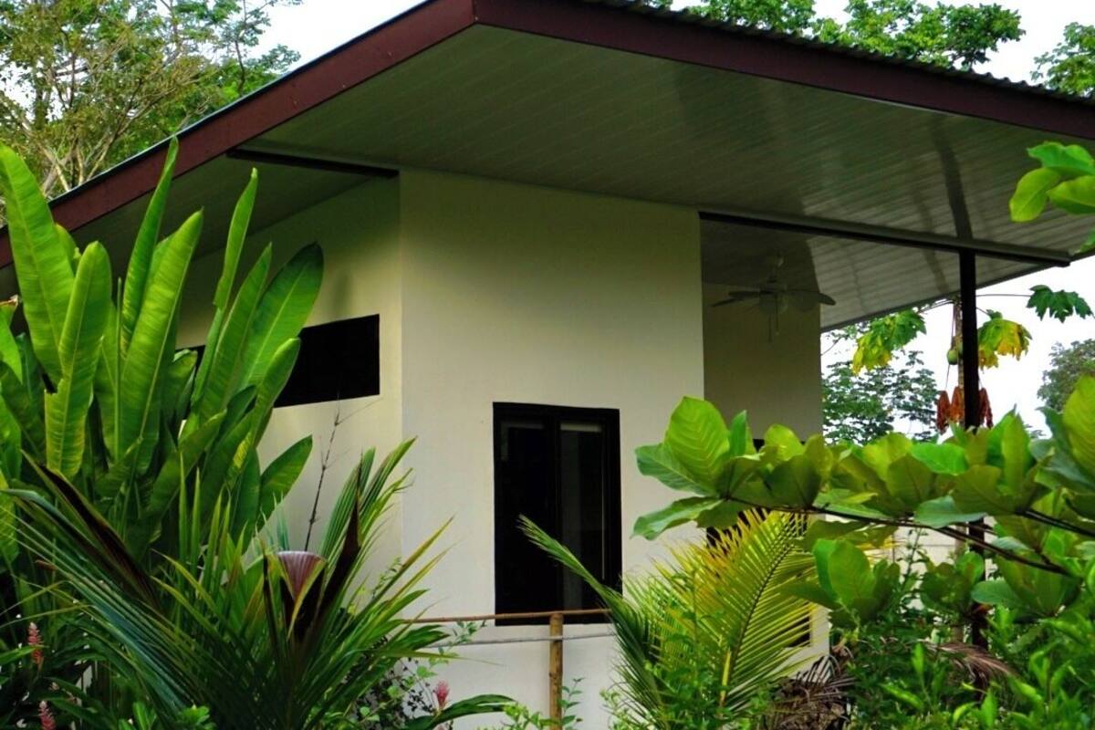 A single-story building with a flat roof, surrounded by dense tropical vegetation.