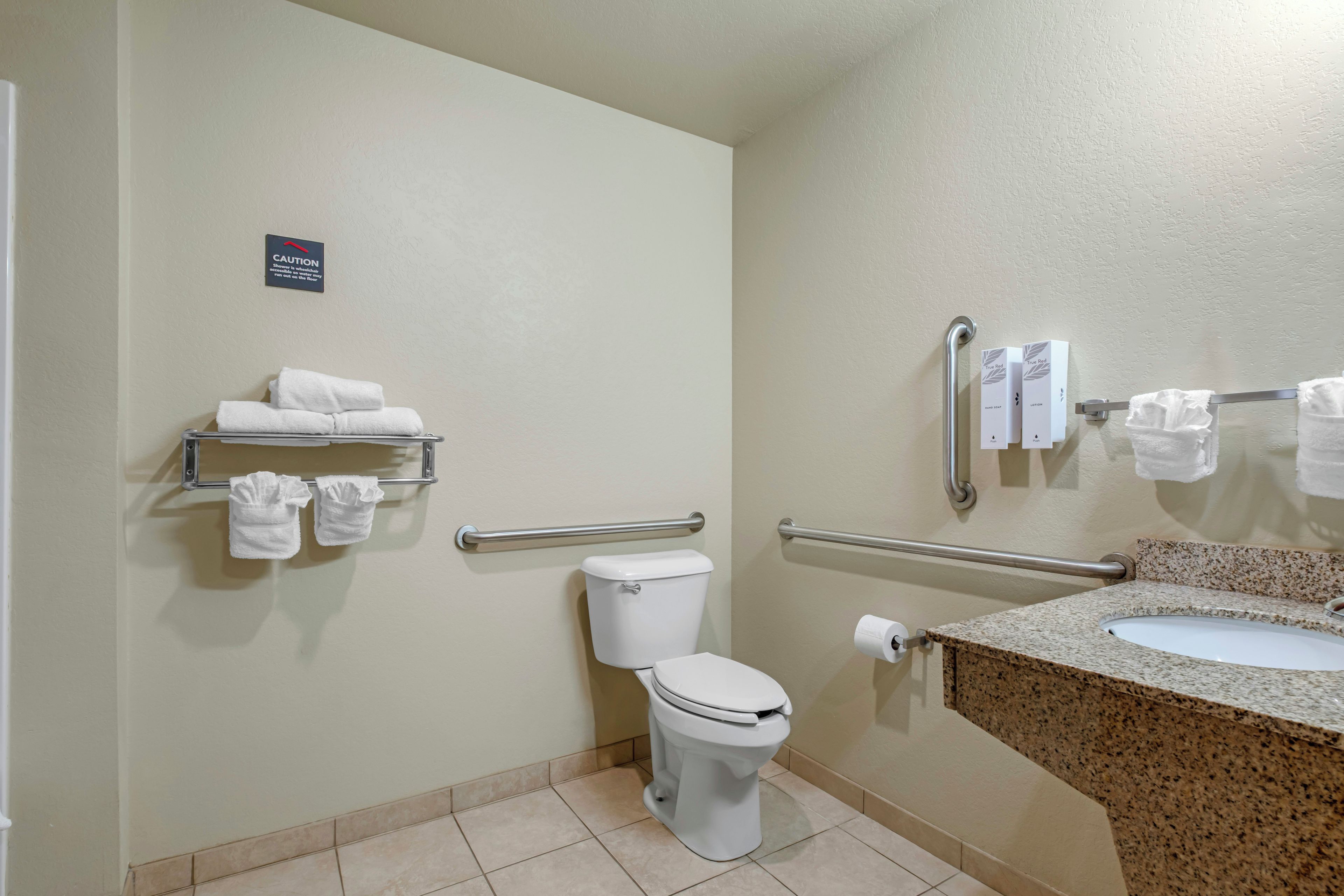 A bathroom with a toilet, hand soap, and a sink.