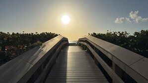 A wooden boardwalk leading to a body of water, surrounded by greenery. - Top-Floor Partial Gulf View!  Steps from the Beach!  Little Tropical Paradise! (Marco Island)