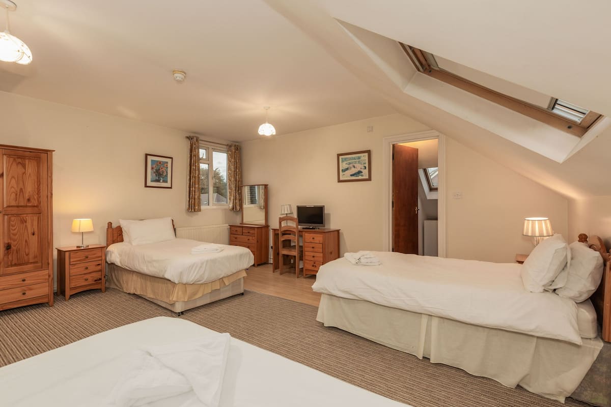 A bedroom with two beds, a desk, a TV, and a skylight.