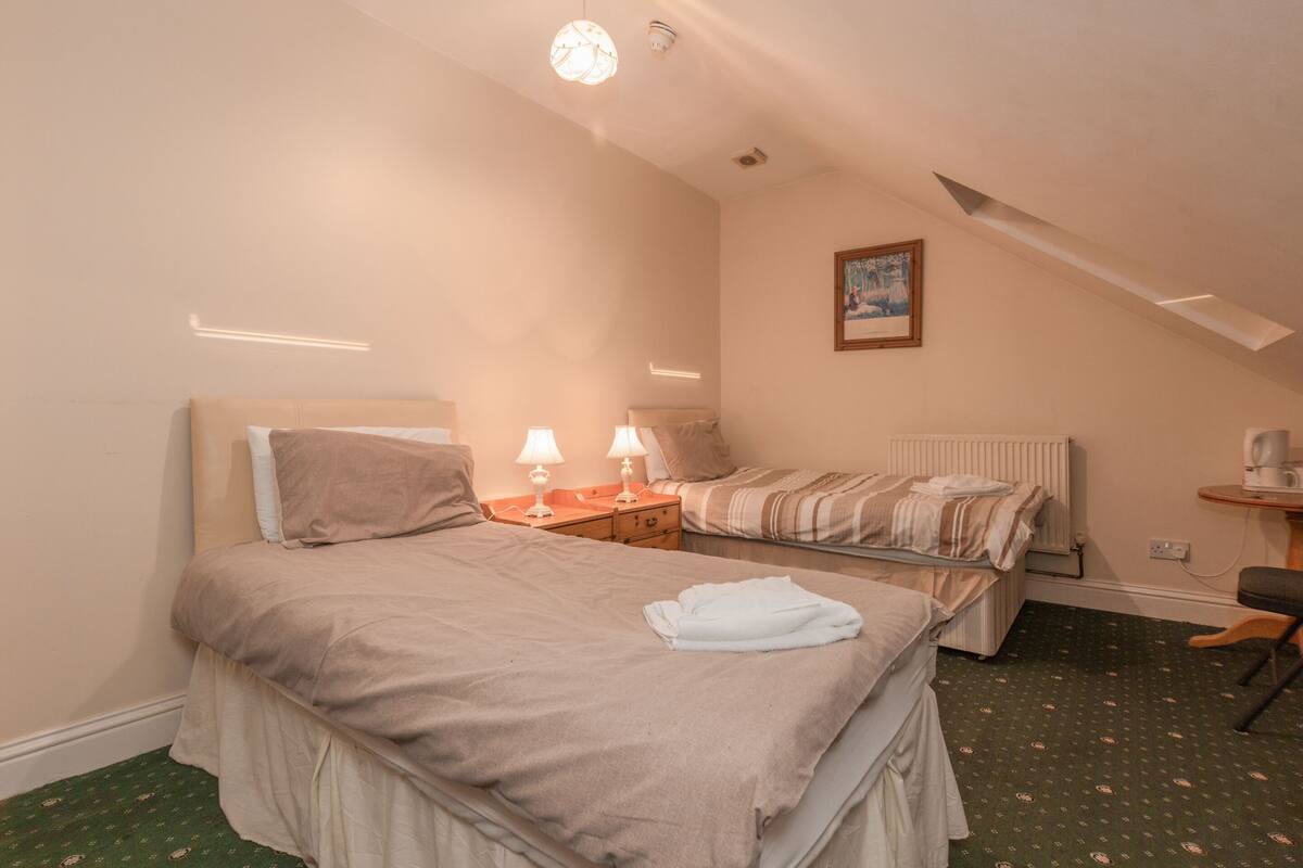 A hotel room with two beds, a radiator, a small table with lamps, and a painting on the wall.