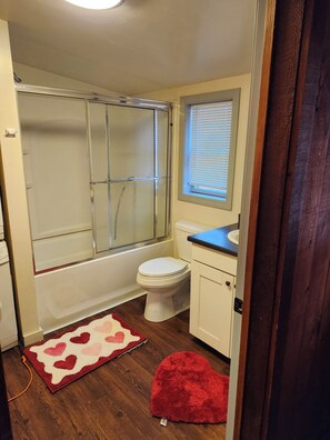 Hair dryer, towels, soap, toilet paper