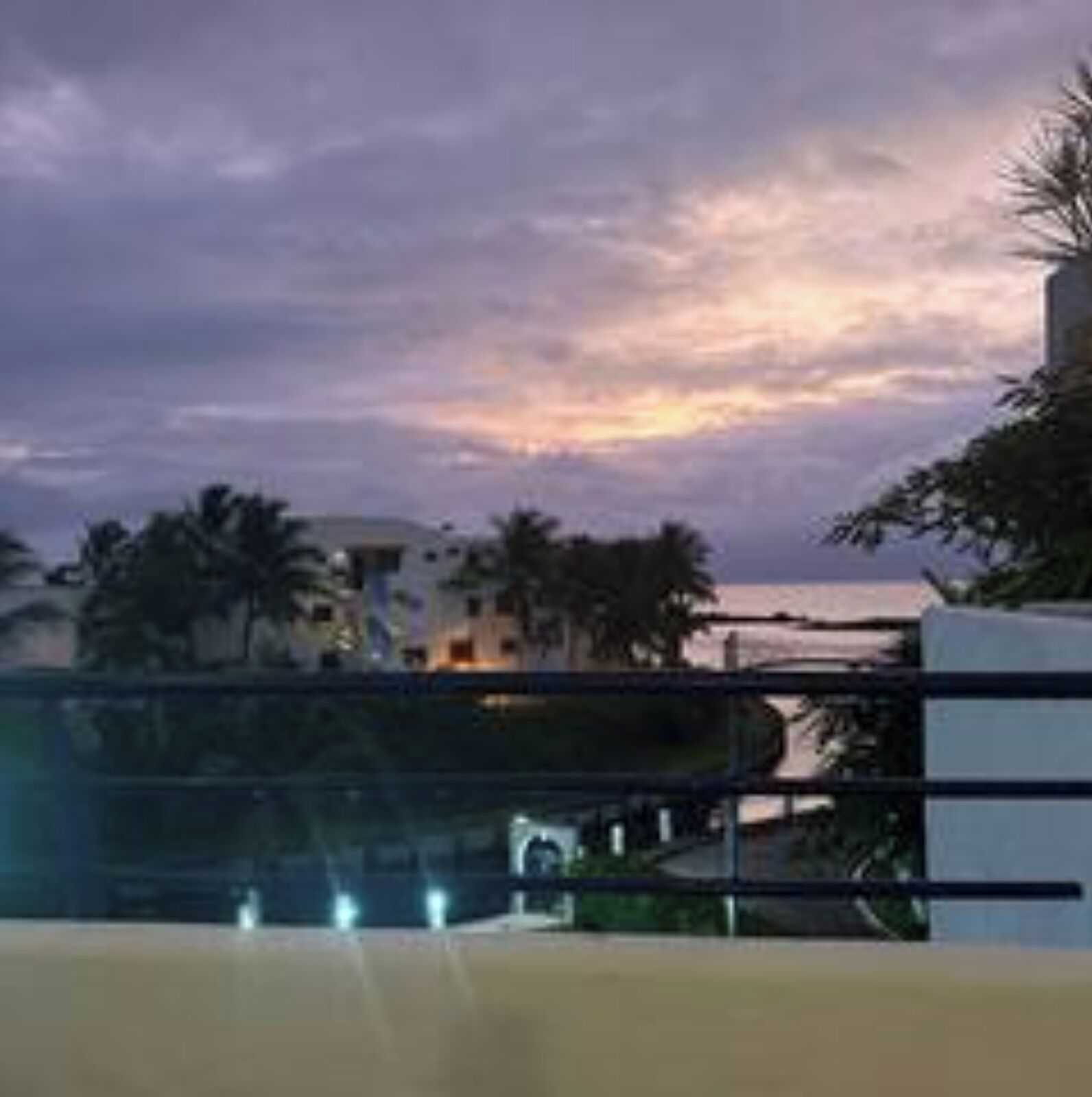 A coastal hotel with a view of the sea and palm trees.