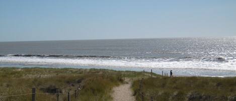 Accommodatie ligt op het strand