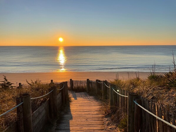 Strand