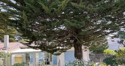 Charmante maisonnette proche plage Ă Noirmoutier, 4 pers