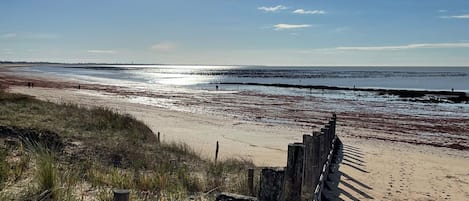 Tæt på stranden