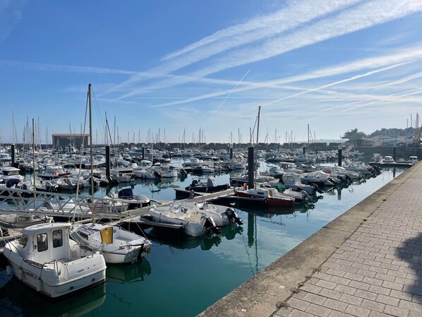 Marina