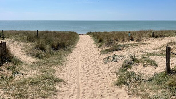 A sandy beach path leading to the ocean.
