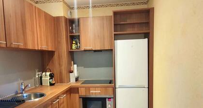 Appartement 2 piĂšces Ă  50m des pistes d'Isola 2000