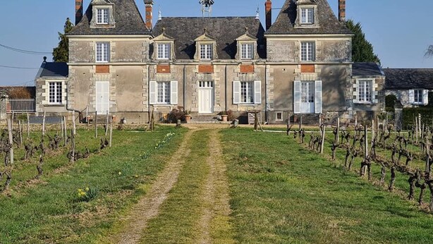 A large stone building with multiple chimneys, a central entrance, and a vineyard in the foreground. - Family cottage between Angers and Saumur (Blaison-Saint-Sulpice)