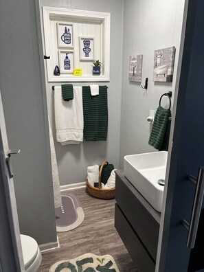 Shower, hair dryer, towels, soap - Whispering Pines - a Charming 2-bedroom cabin with WiFi, AC in serene Pipestem (Pipestem)
