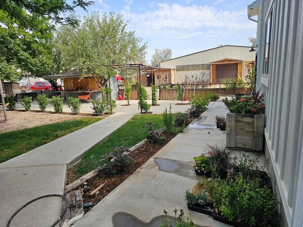 Terrain de l’hébergement 