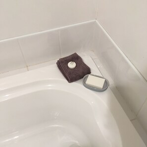 Articles de toilette écologiques, sèche-cheveux, serviettes fournies