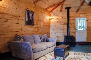 Televisor intel·ligent i llar de foc 