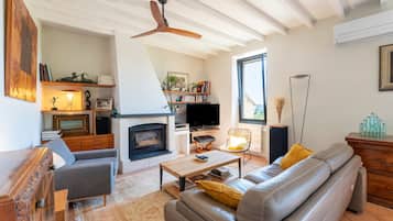 TV, fireplace