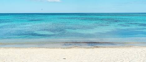 بالقرب من الشاطئ