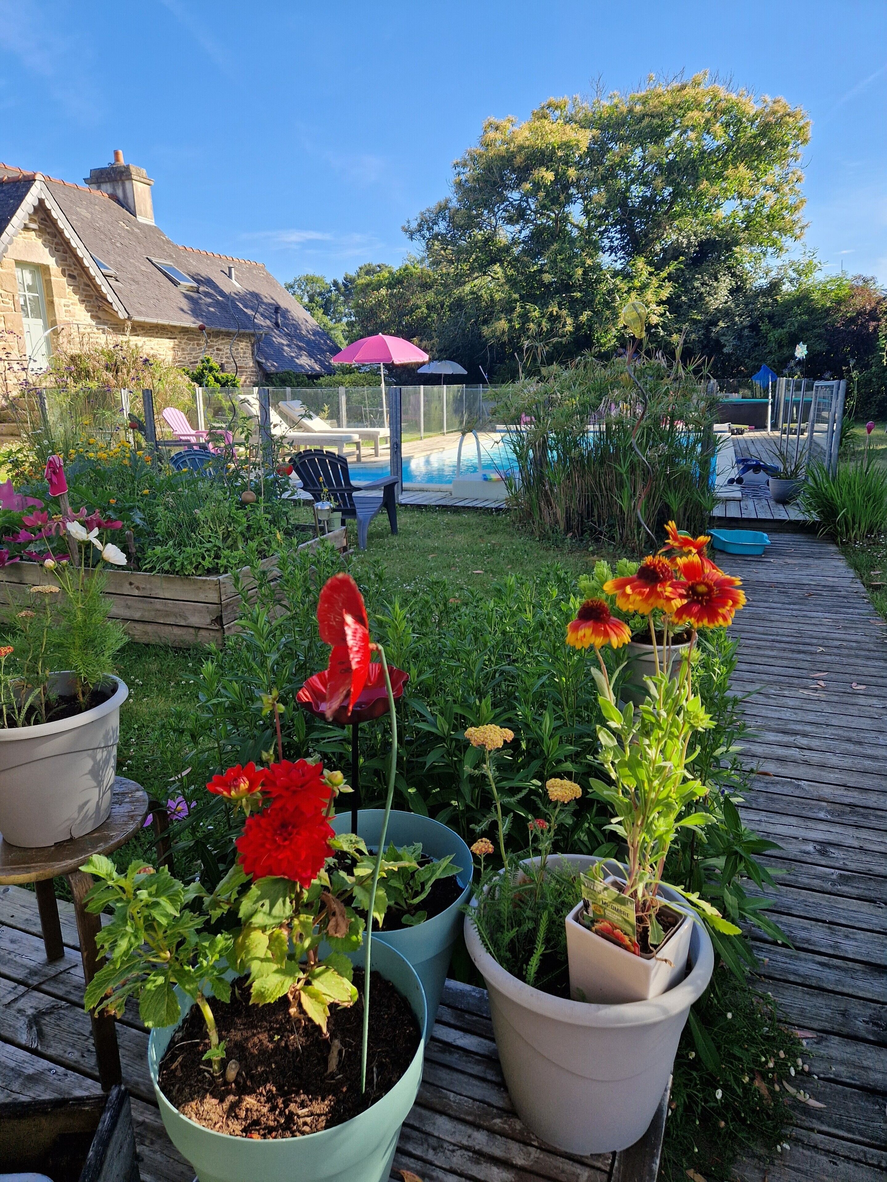 En have med plantekasser og en træterrasse.