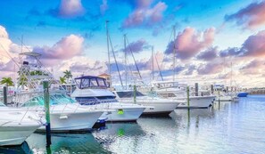 Marina
