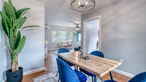 Comedor con mesa de madera y sillas azules, una planta en maceta y una lámpara de araña moderna.