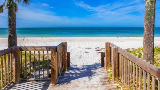 Un sentier en bois mène à une plage, avec un ciel bleu dégagé et des palmiers.