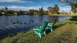 Un entorno tranquilo junto al lago con un césped, dos sillas verdes y un estanque con patos.