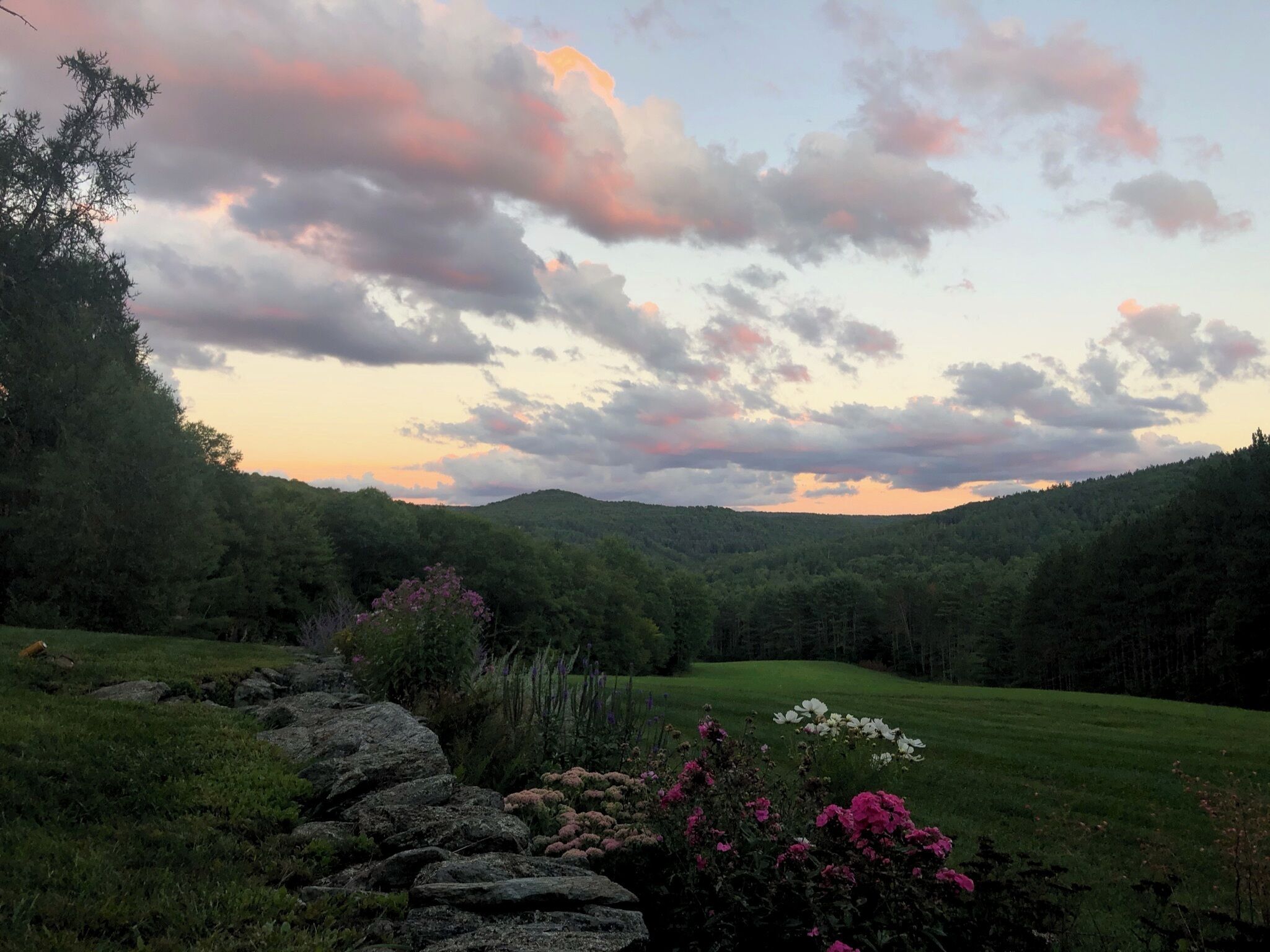 A natural landscape with a stone wall, flowering plants, and a grassy field.